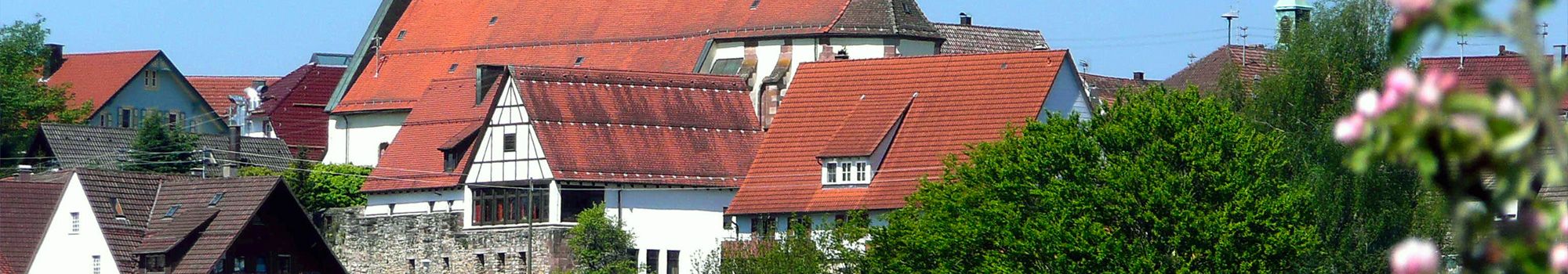 Referenzbericht Stadt Dornhan